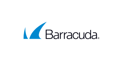Barracuda Message Archiver - Virtual License - 350 Demo Conversion - BMAV350A-DC