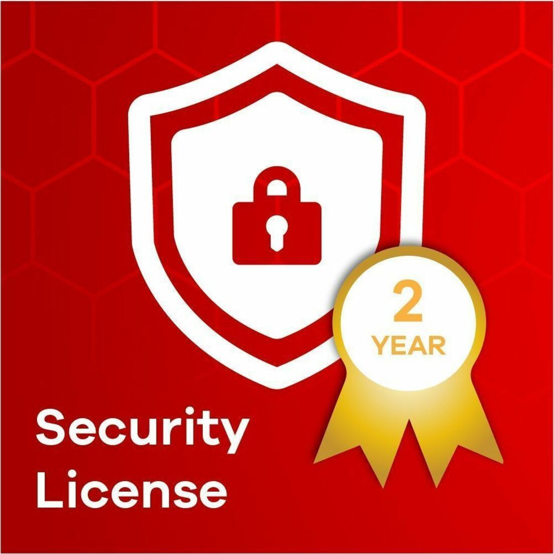 ZYXEL 2 YR Gold Security Bundle License with Sandboxing + 2YR Nebula Pro for USGFLEX200 - ICGLD2YUSGFLEX200