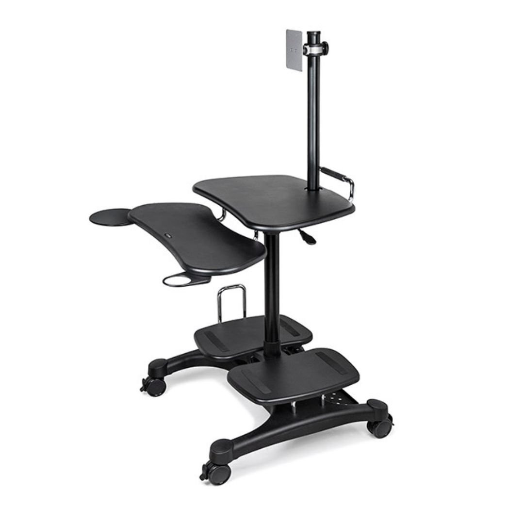 Ergoguys Aidata Height Adjustable Monitor Mount Black. Clamp mount can be added to Aidatas mobile workstation, table, or cart. Fits 1 monitor and is height adjustable. Has cable management for clean and organized appearance - EMM-01