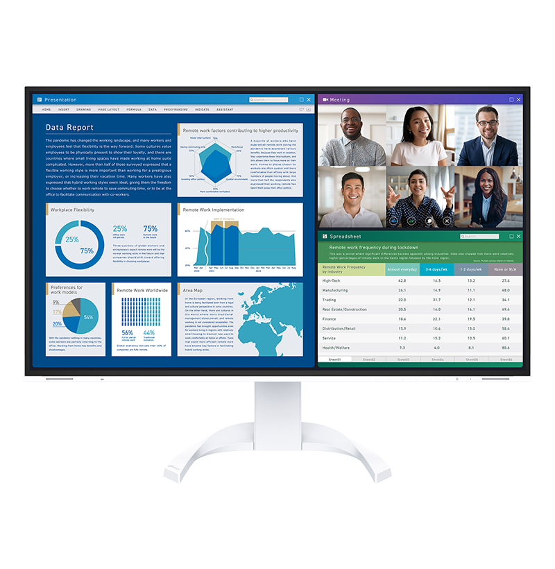 EIZO FlexScan EV3240X 31.5" Color LCD Monitor -EV3240X-BK