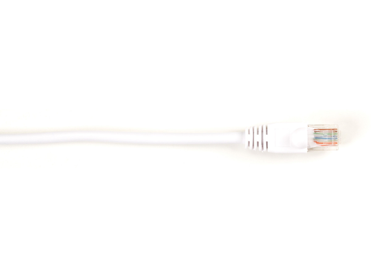 Blackbox CAT6 250-MHz Molded Snagless Stranded Ethernet Patch Cable - Unshielded (UTP), CM PVC (RJ45 M/M), White, 10-ft. (3.0-m), 10-Pack - CAT6PC-010-WH-10PAK