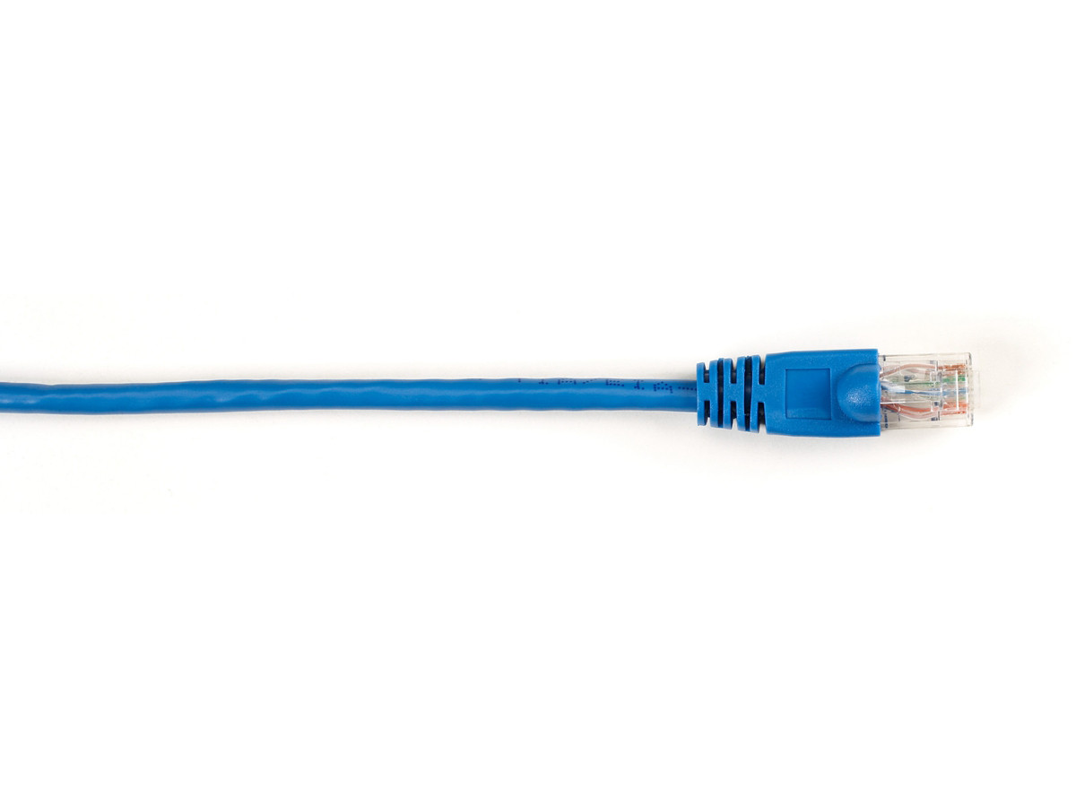 Blackbox CAT6 250-MHz Molded Snagless Stranded Ethernet Patch Cable-Unshielded(UTP), CM PVC(RJ45 M/M), Blue, 15-ft.(4.6-m), 5-Pack - CAT6PC-015-BL-5PAK