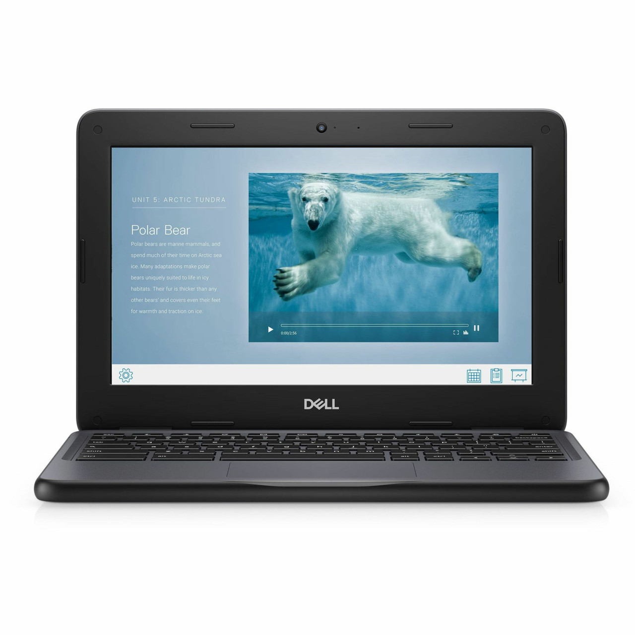 Dell Chromebook 11 3000 3100 11.6" Touchscreen Convertible 2 in 1 Chromebook - HD - Intel Celeron N4020 - 4 GB - 64 GB Flash Memory - English Keyboard - CHT00-RF