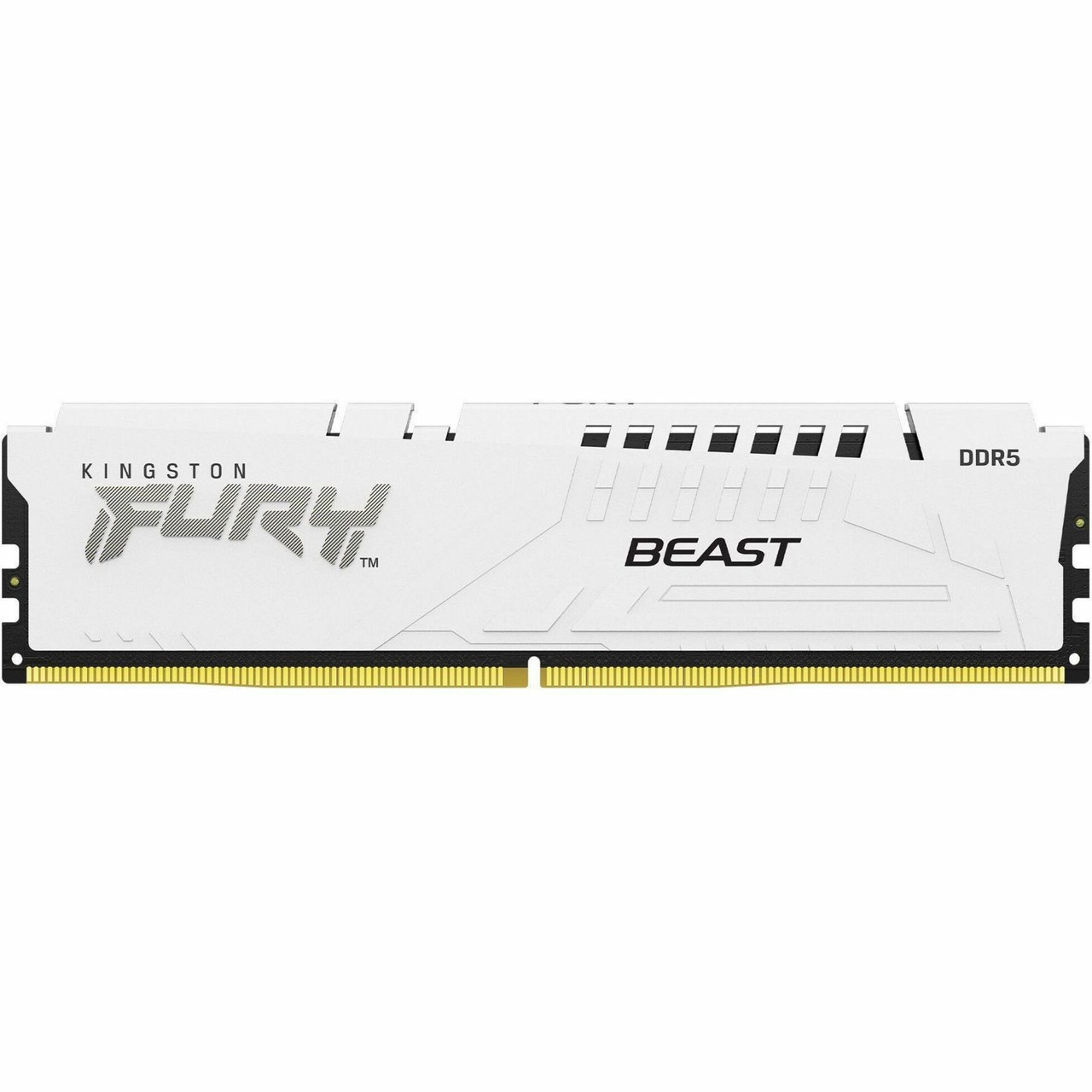 Kingston Fury Beast 16Gb Ddr5 Sdram Memory Module - KF560C30BWE-16
