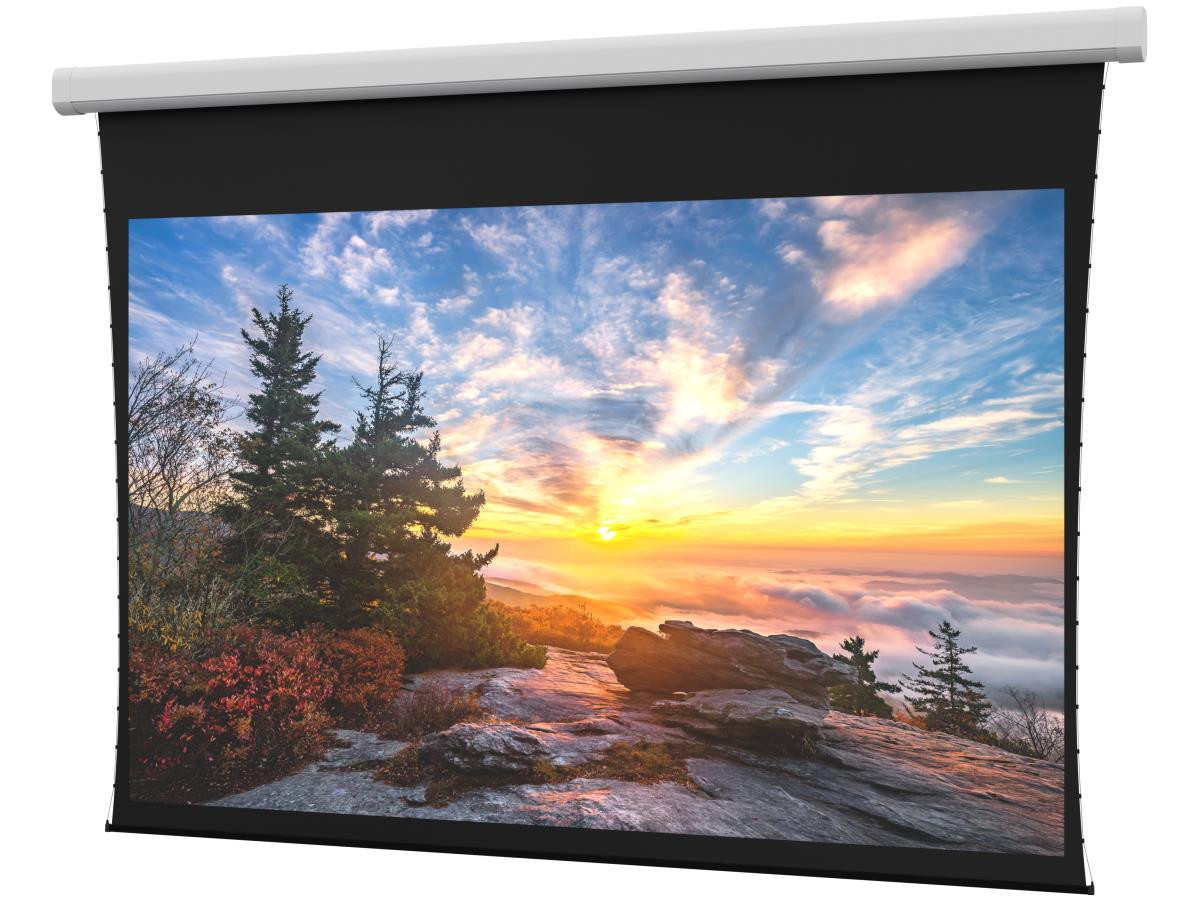 Da-Lite Premium Projection Screen HDTV (16:9) - 94.5" x 168" or 193" Diagonal - Da-Tex - Standard Black Drop - Standard 120V (60Hz) - DL100107L