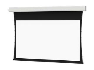 Da-Lite 34539LS Tensioned Advantage Electrol Motorized Front Projection Screen - 34539LS