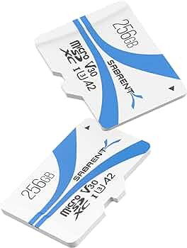 Sabrent Rocket 256 GB Class 3/UHS-I (U3) V30 microSDXC - 1 Pack - 100 MB/s Read - 30 MB/s Write - SD-MQ30-256