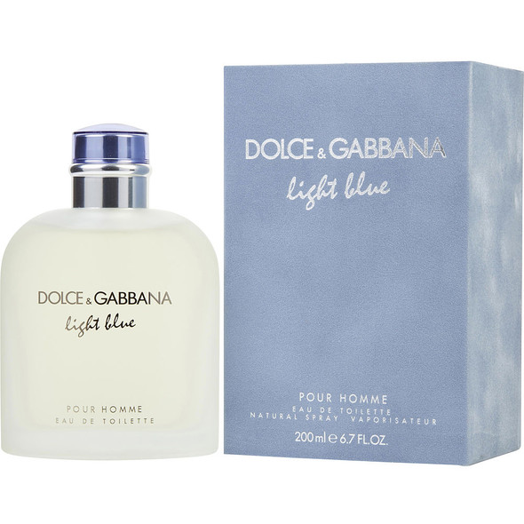 Dolce Gabbana Light Blue Eau De Toilette Spray for Men 6.7 oz Fragrance 737052872018