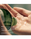 La Mer The Treatment Lotion