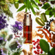 Clarins Double Serum 1 oz Skincare 3380810149661
