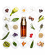 Clarins Double Serum 1.6 oz Skincare 3666057202476