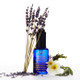 Kiehl's Since 1851 Midnight Recovery Concentrate Moisturizing Face Oil 3.4 oz Skincare 3605970373481