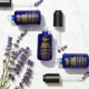 Kiehl's Since 1851 Midnight Recovery Concentrate Moisturizing Face Oil 3.4 oz Skincare 3605970373481