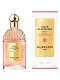 Guerlain Aqua Allegoria Rosa Palissandro Forte EDP Unisex 4.2 oz Fragrance 3346470147423