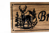 Family name sign, hunting lodge, deer hunting, buck, mountain cabin