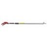 ars long reach pruner