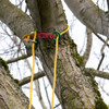 flint locker canopy anchor
