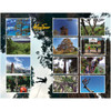 all the customer tree climbing photos contributed to the 2026 calendar