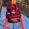 Harken  Apex Limb-O Pulley in use in tree with rigging rope and sling