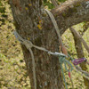The KBNest Anchor installed in the tree.