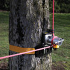 GRCS on a tree