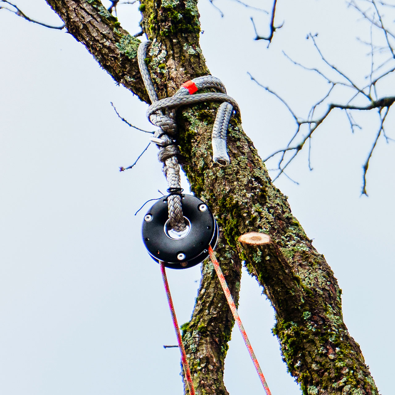 FTC Donut Ring Pulley