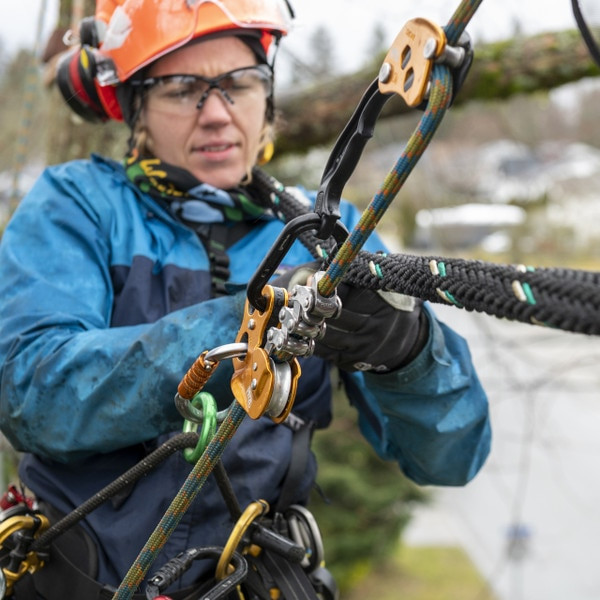 Petzl Zigzag Mechanical Prusik