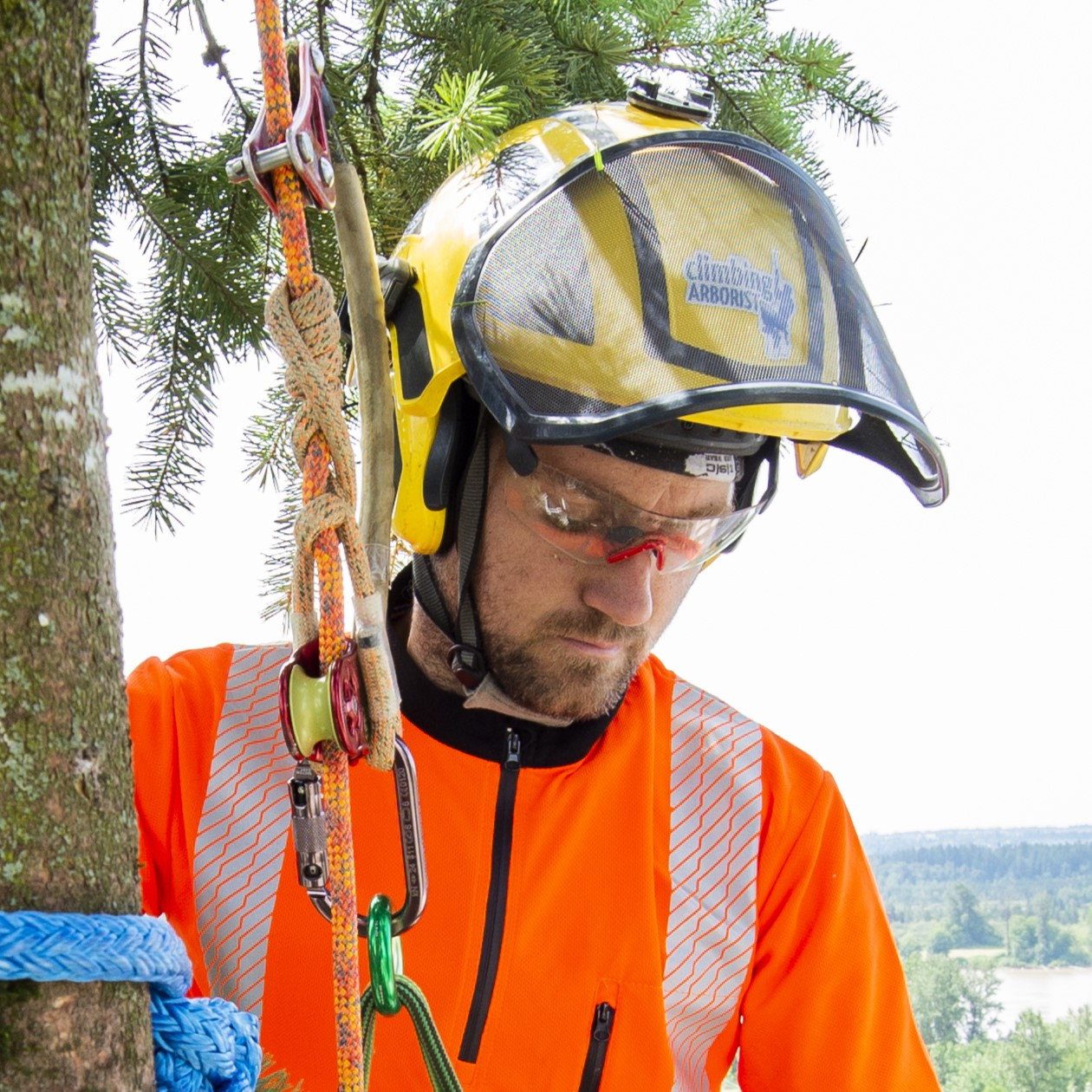 Protos Integral Arborist Helmet - All Color Options