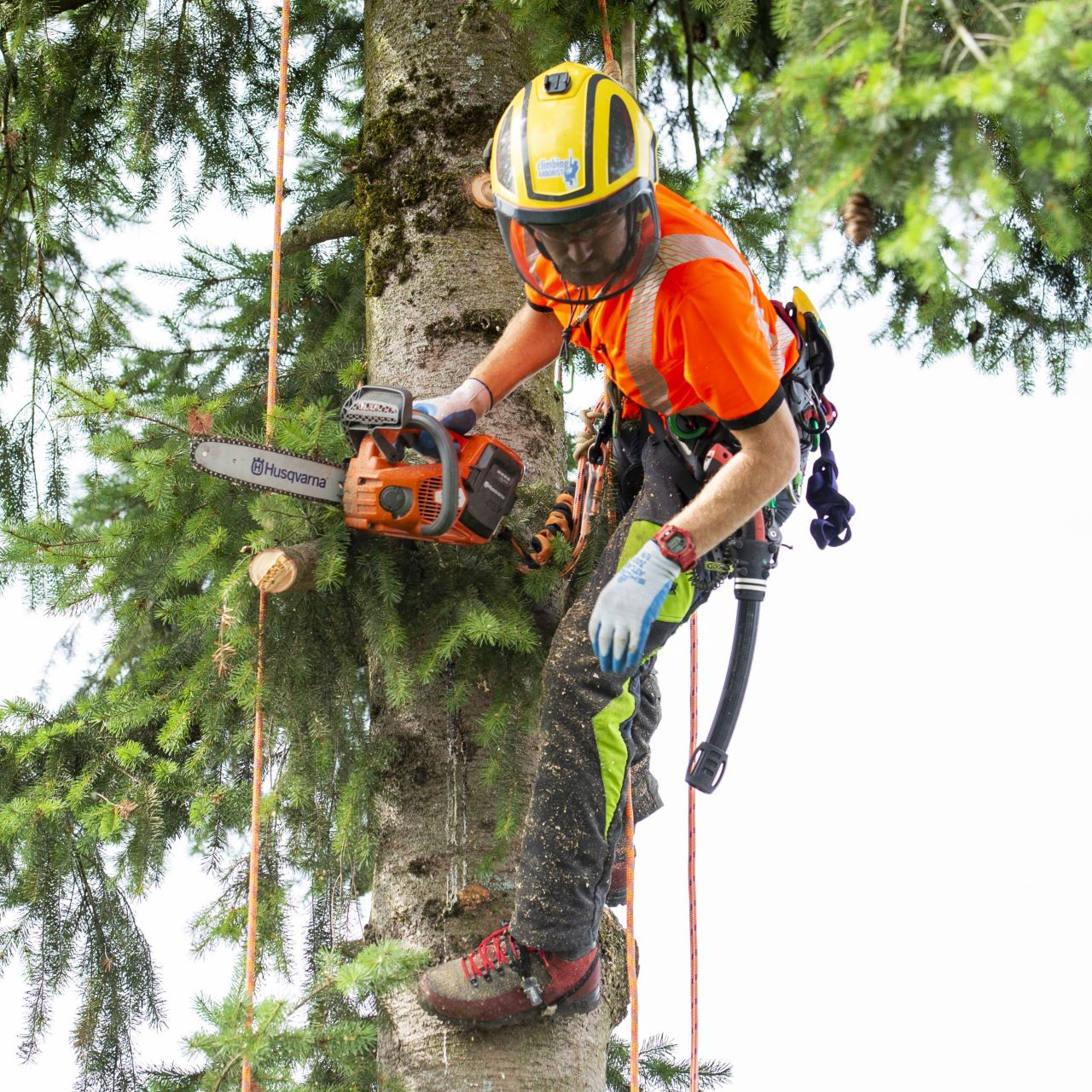 Clogger Zero Gen2 Chainsaw Pants | WesSpur