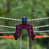 Zip Lines