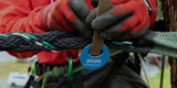 Tree Guard Dynamic Cabling
