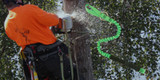 Saw & Tool Straps