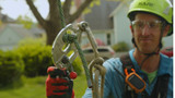 What is the KBNest Canopy Anchor?