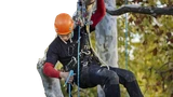 20% off ISC + Sterling Ropes code: STICKS