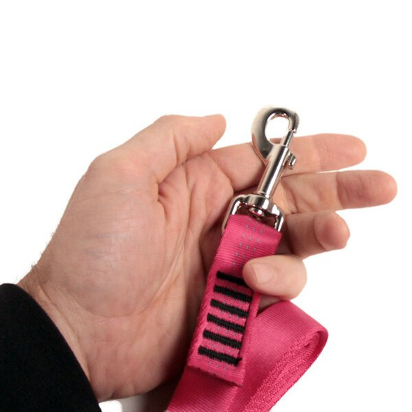 isrs dog leash