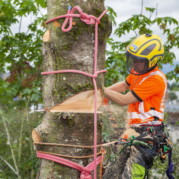 a photo of samson stable braid 5/8" tree rigging rope being used in negative block rigging to remove the top of a large tree