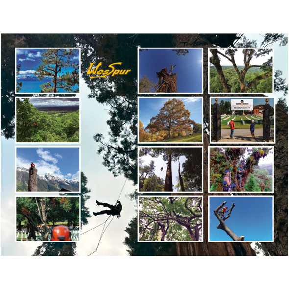 all the customer tree climbing photos contributed to the 2026 calendar