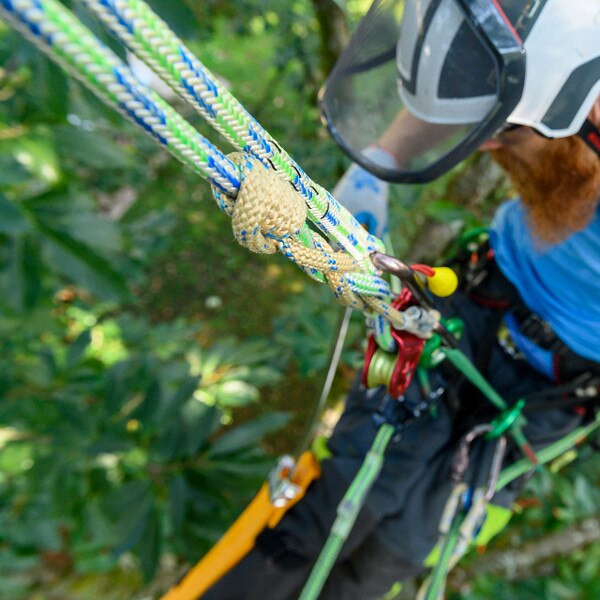 Voyager Tree Climbing Rope