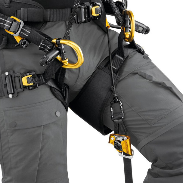 Petzl knee grab in use with Sequoia tree climbing harness