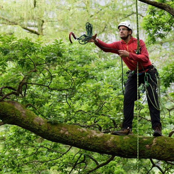 arborist throwing dmm captain hook