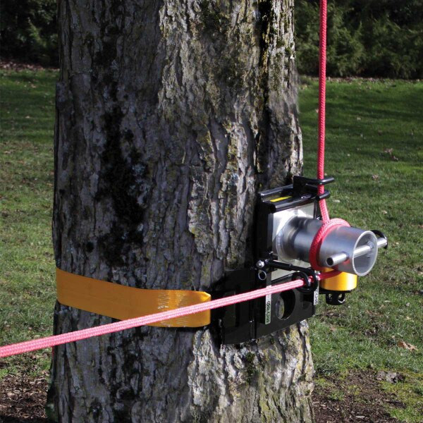 GRCS on a tree