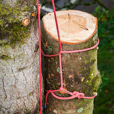 Tree Rigging Rope