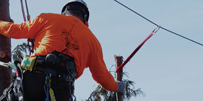 Slide Line Slings