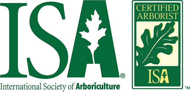 ISA