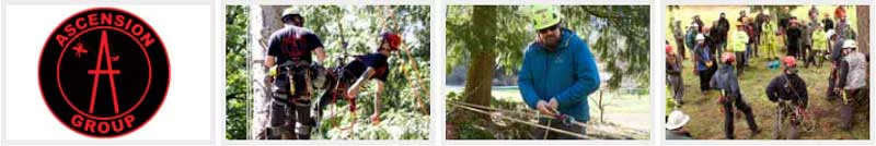 picture of training for arborist and work at height by ascension group