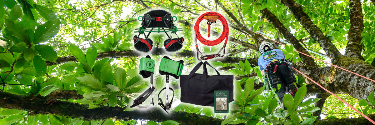 Picture of an arborist ascending a tree and tree climbing gear kit