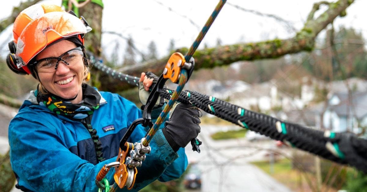 Woman tree climber installing cabling in a tree using petzl products