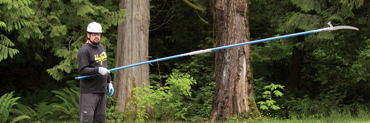arborist with fiberglass pole saw