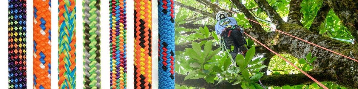 Arborist tree climbing ropes and a tree climber