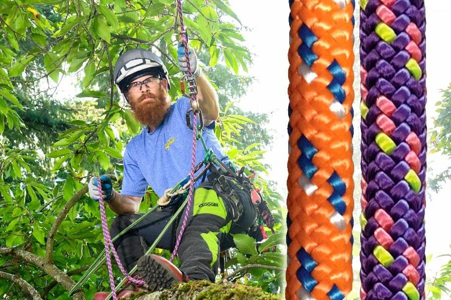 picture of tree climber and hyperclimb rope